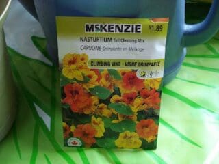 Image for Planting Flowers Science Activity