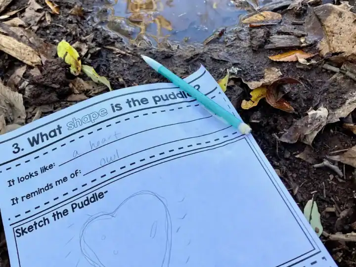 Image for Puddle Observation Science Activity