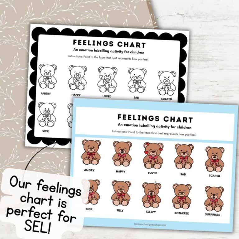 Teddy Bear Picnic Ideas for Preschool Fun and Learning