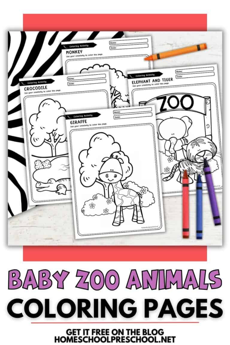 Baby Zoo Animals Coloring Pages for Preschool Fun