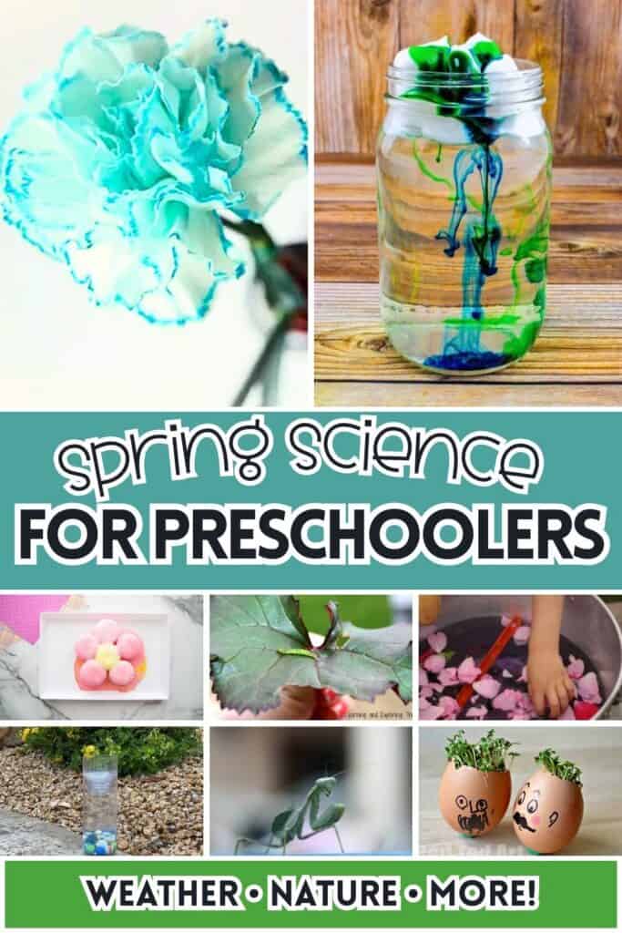 Spring science for preschoolers collage showing color changing flower, rain cloud jar experiment, fizzy flower activity, caterpillar on leaf, sensory flower water play, DIY rain gauge, praying mantis, and cress egg heads with text “Weather, Nature, More”