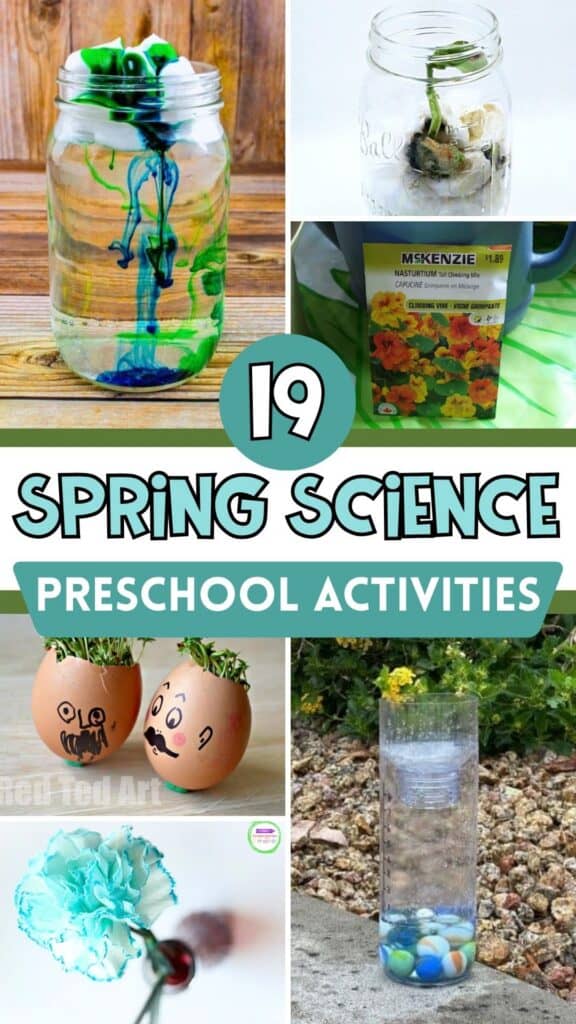 Spring science preschool activities collage with rain cloud jar, seed growing jar, flower seed packet, cress egg heads, DIY rain gauge, and color changing flower with text “19 Spring Science Preschool Activities”