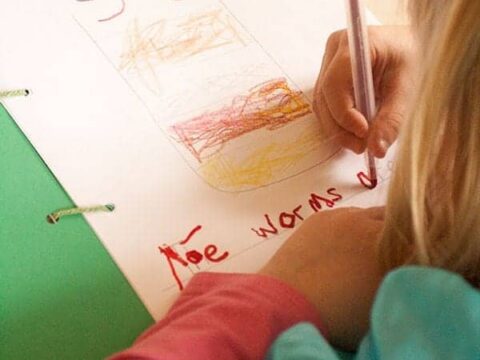 Image for Worm Observation Journal Activity