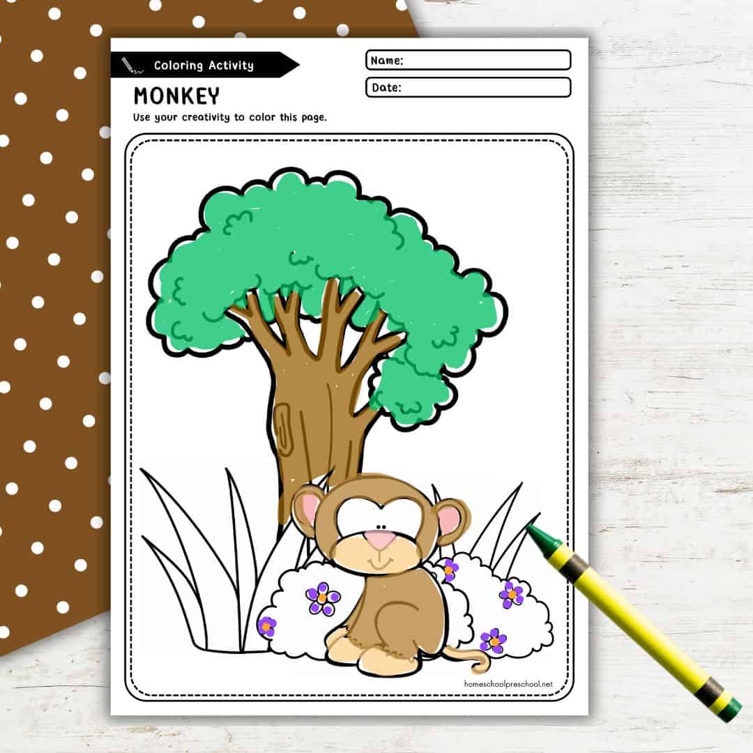 Baby Zoo Animals Coloring Pages for Preschool Fun