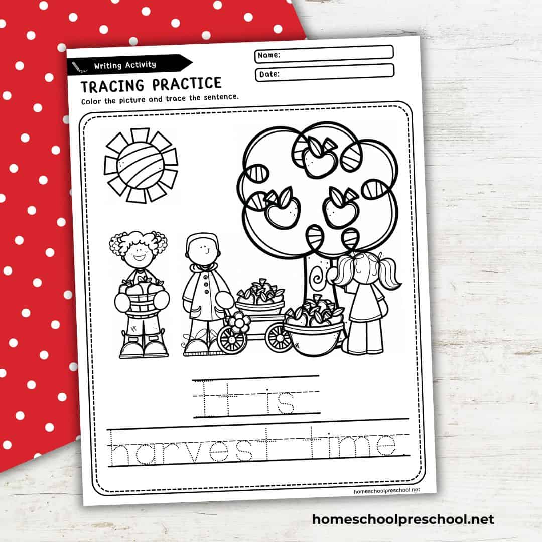 Fun Apple Alphabet Worksheets for Preschool and Kindergarten