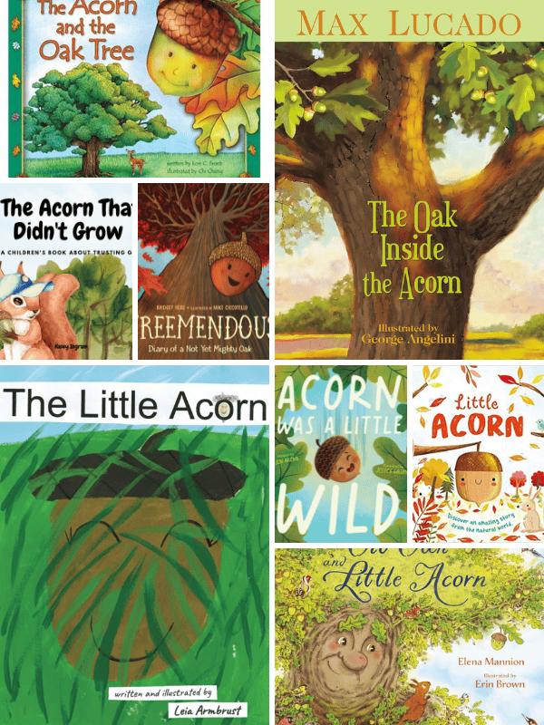 Books About Acorns for Preschoolers