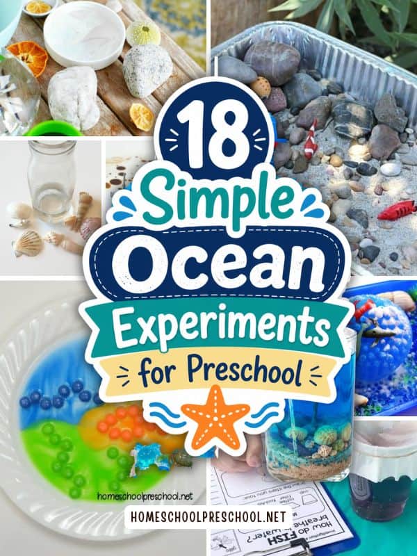 Collage of simple ocean experiments for preschoolers featuring hands-on STEM activities, sensory science, ocean habitats, water experiments, and colorful preschool learning activities.