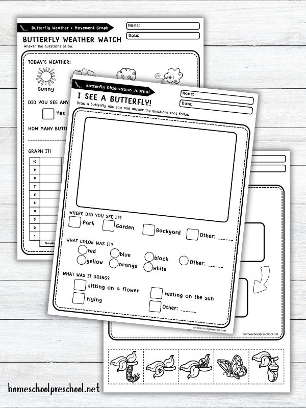 Hands-On Butterfly STEM Journal for Preschoolers