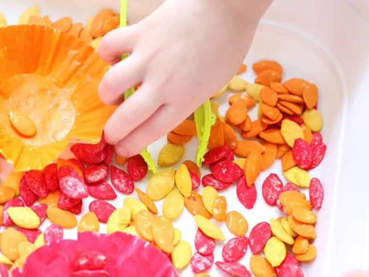 Image for Pumpkin Sensory Bin 