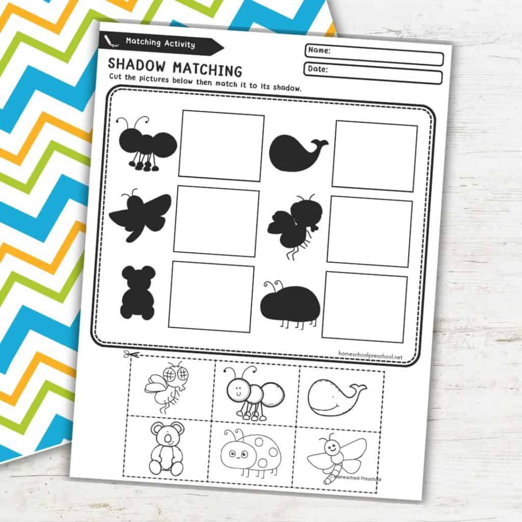 Shadow Matching Printables for Preschool