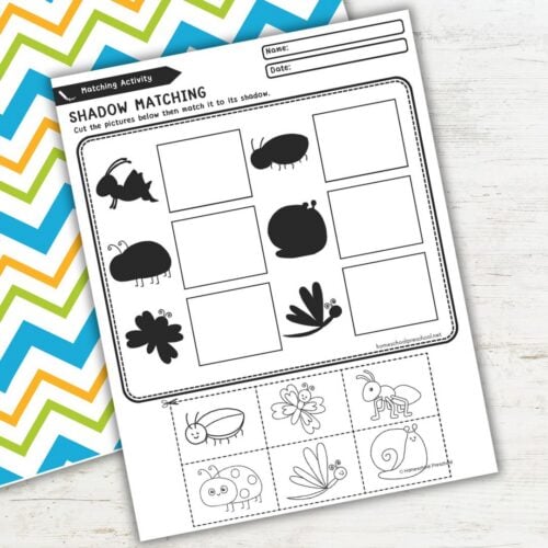 Shadow Matching Printables for Preschool