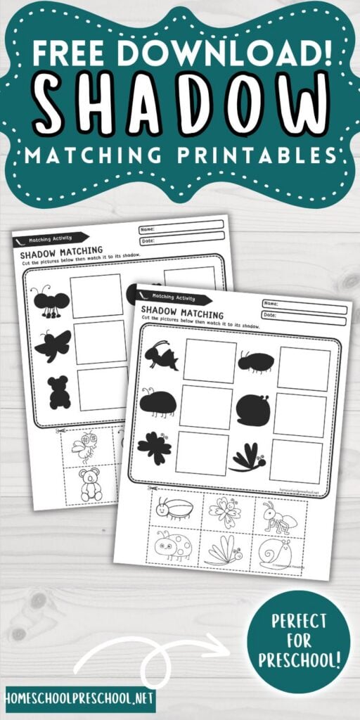 Shadow Matching Printables for Preschool