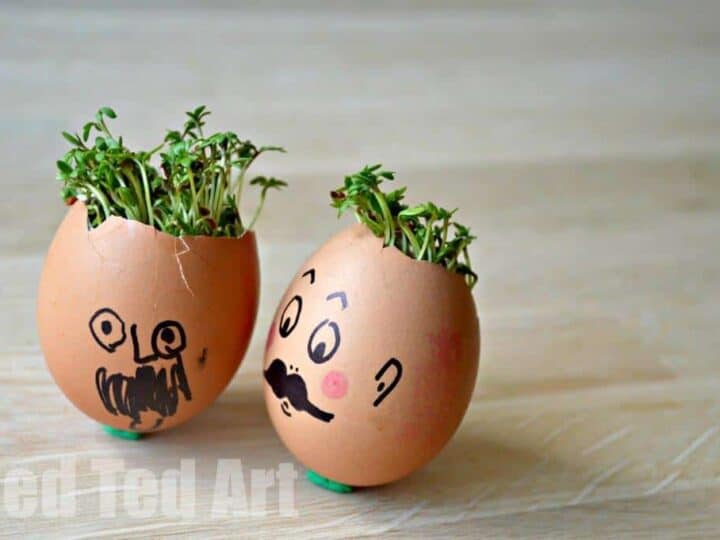 Image for Cress Egg Heads Growing Experiment