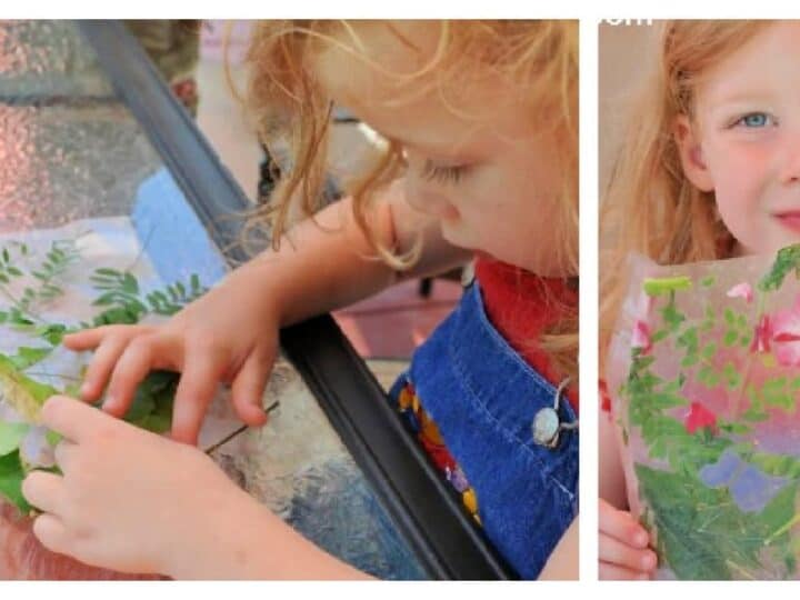 Image for Nature Collage Craft