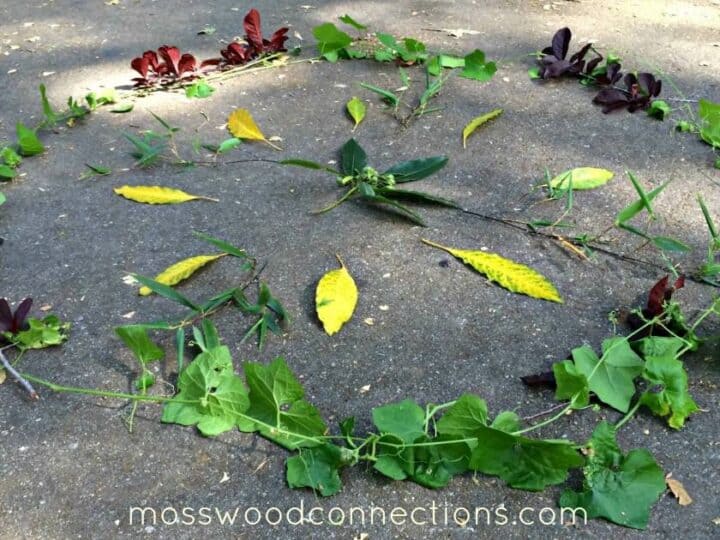 Image for Nature Mandala Science Activity