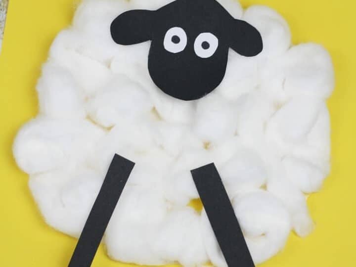 Image for Cotton Ball Sheep Craft