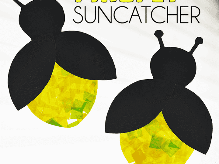 Image for Firefly Suncatcher Craft