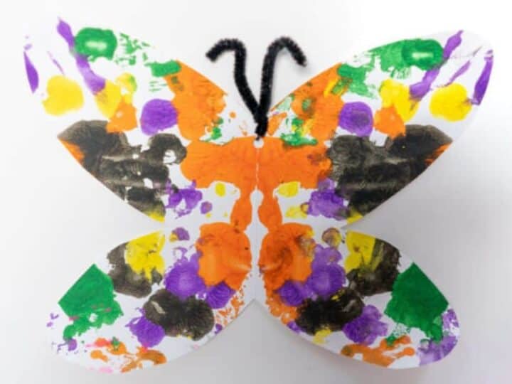Image for Symmetry Butterfly Painting Craft