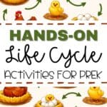 Pinterest Hidden Image
