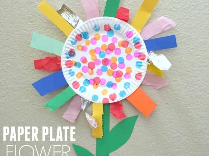 Image for Paper Plate Flower Craft