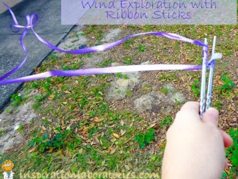 Image for Wind Exploration with Ribbon Sticks
