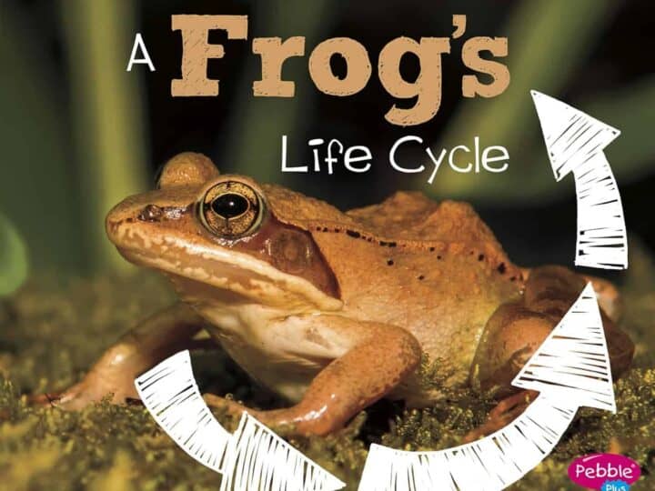 Image for A Frog’s Life Cycle by Mary R. Dunn