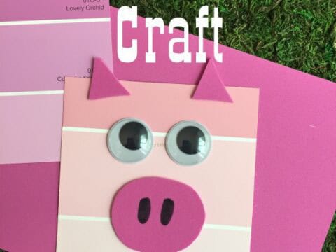 Image for Pig Paint Chip Craft