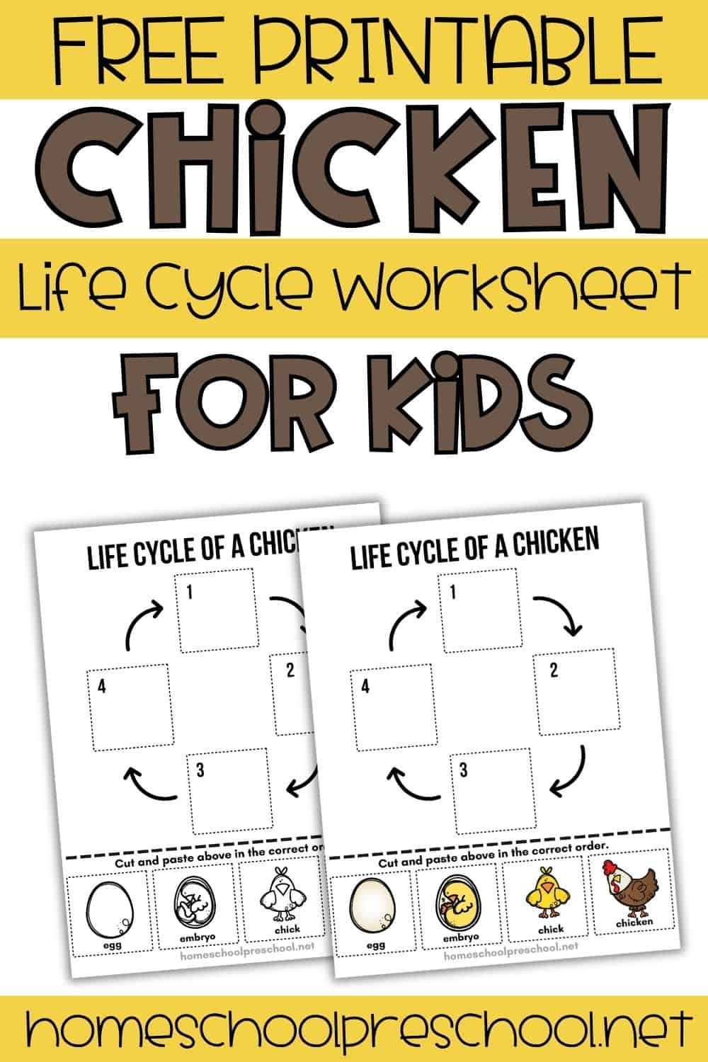 Life Cycle of a Chicken Worksheet for Preschool (Free Printable)