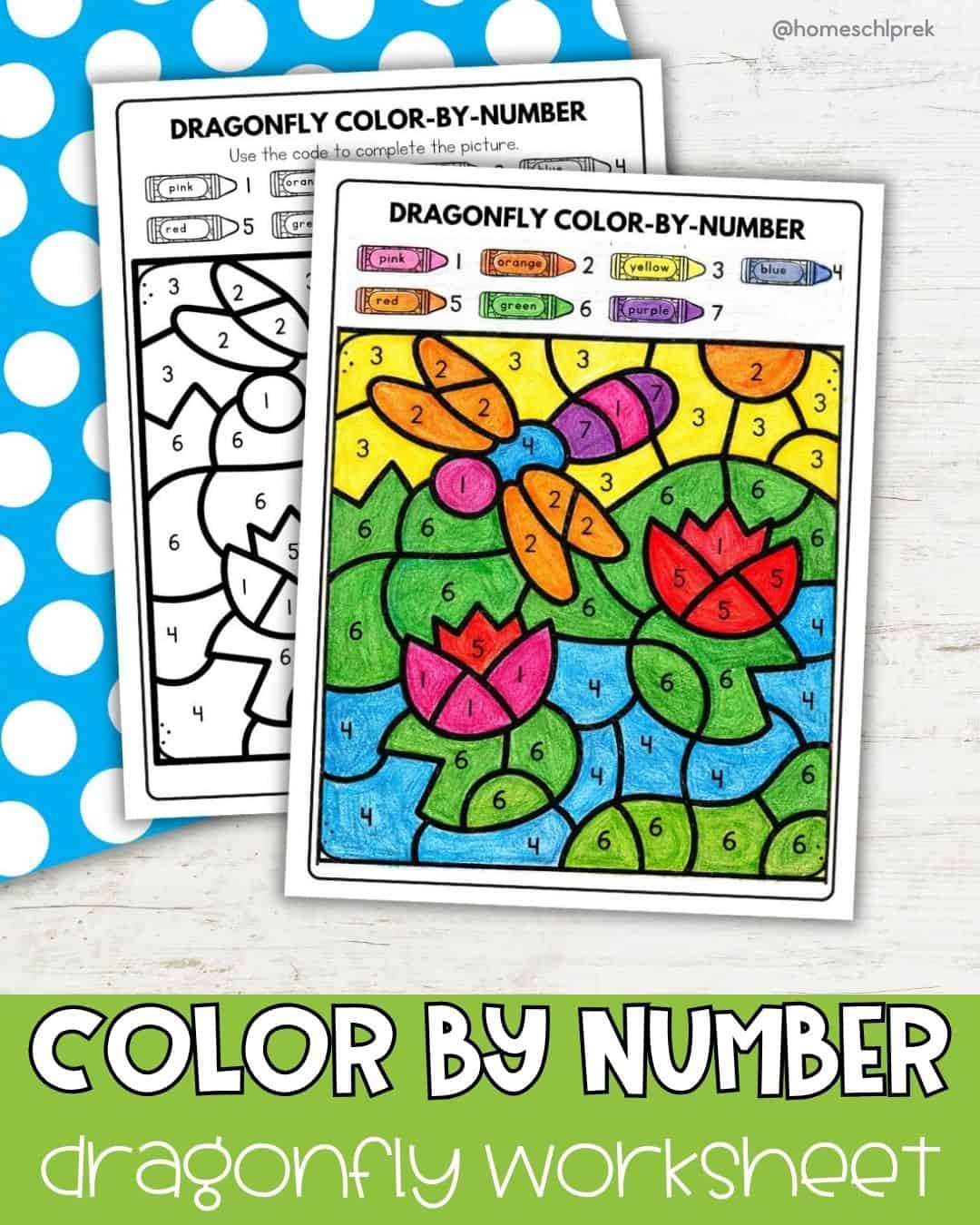 Color by Number Dragonfly Worksheet for Number Recognition