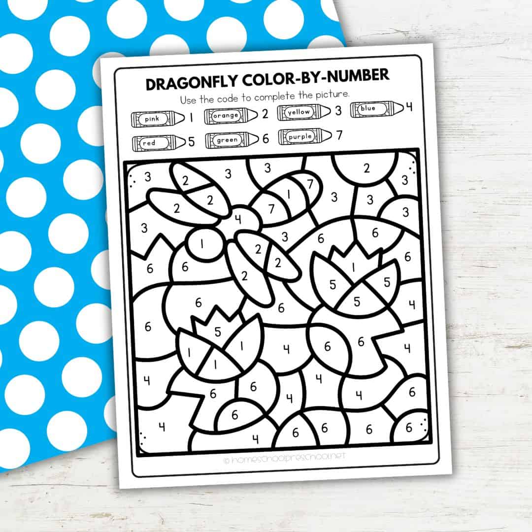 Color by Number Dragonfly Worksheet for Number Recognition