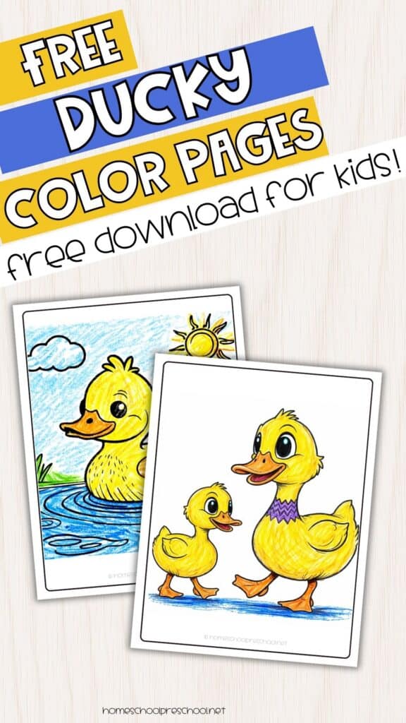 Free ducky coloring pages for kids with printable worksheets showing a duck in water and a duck with a duckling, plus a colored example for inspiration.