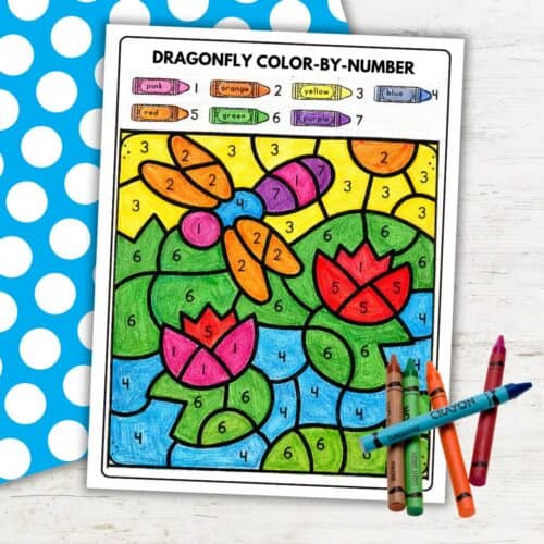 Color by Number Dragonfly Worksheet for Number Recognition