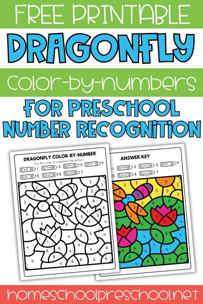 Free printable dragonfly color by number worksheet for preschool featuring number recognition activity with printable page and completed answer key preview.
