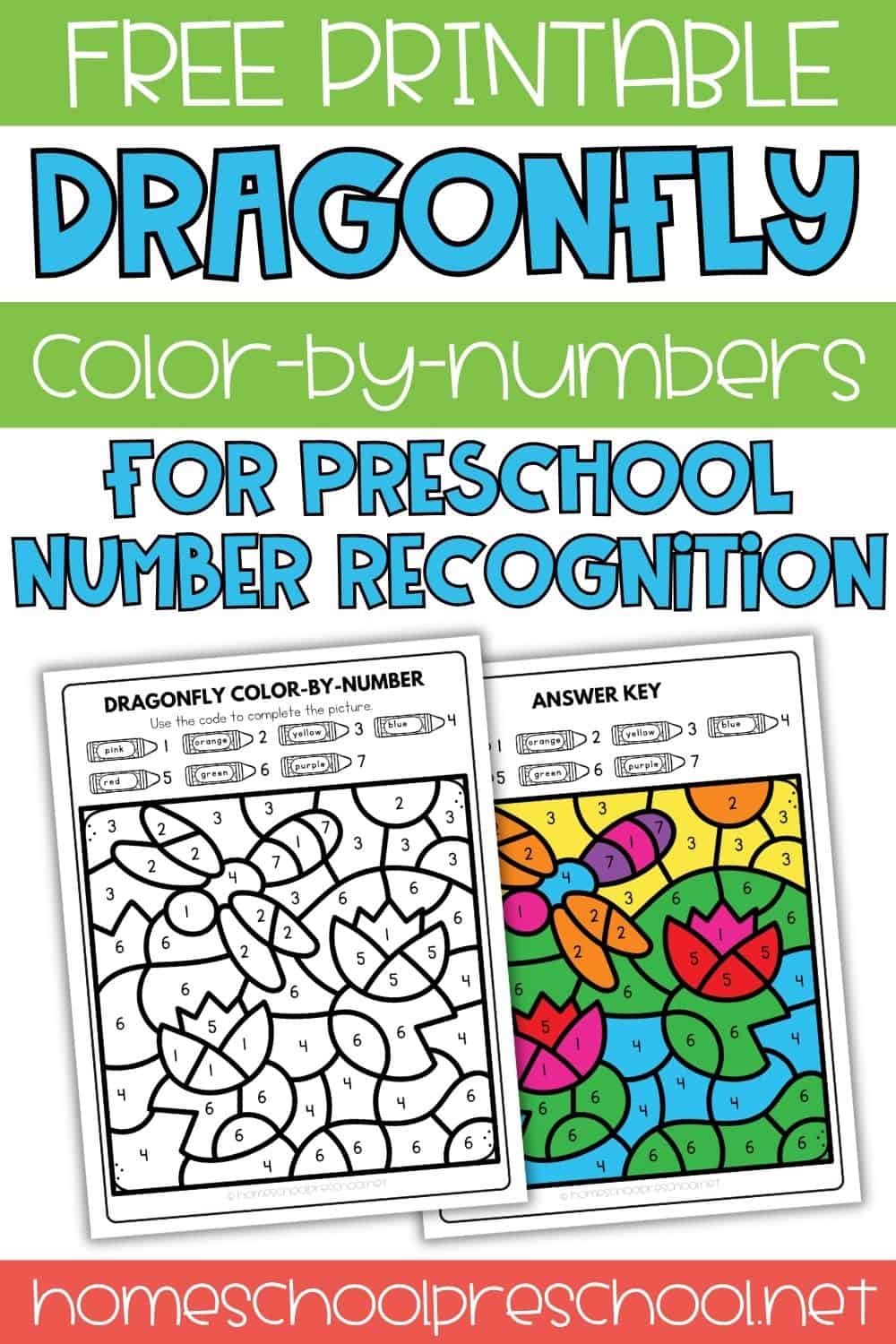 Color by Number Dragonfly Worksheet for Number Recognition