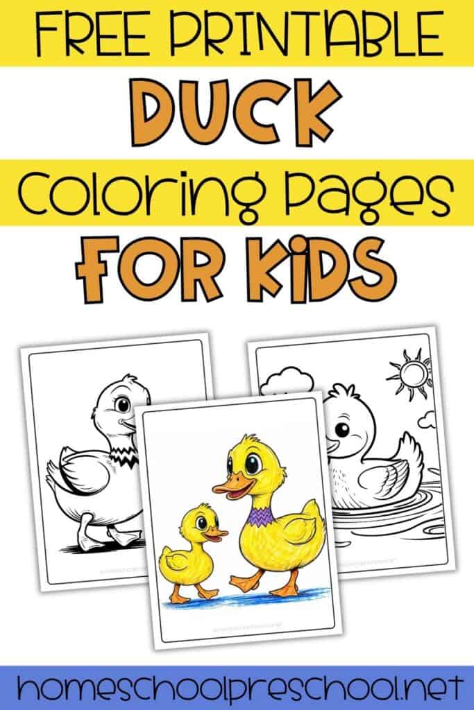 Free printable duck coloring pages for kids with three preschool worksheets showing ducks swimming and walking, including a colored duck and duckling example.