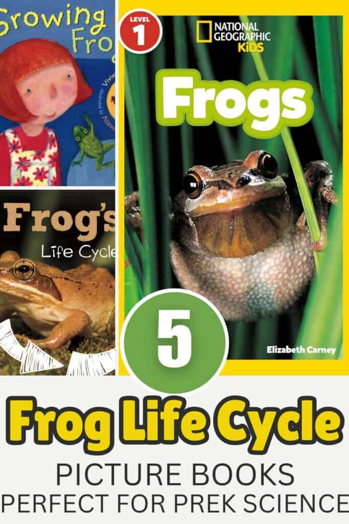 Frog life cycle picture books pin showing preschool science book covers, including real frog photos and illustrated children’s book, with text “Frog Life Cycle Picture Books Perfect for PreK Science” and a number 5 badge.