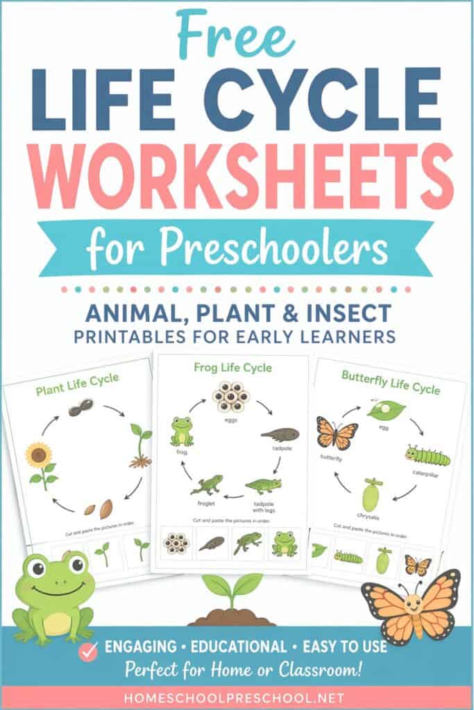Life cycle worksheets for preschoolers featuring animal, plant, and insect printables including frog, butterfly, and plant life cycles