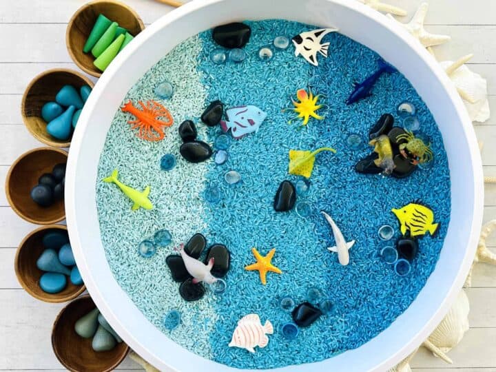 Image for Dyed Rice Ocean Sensory Bin