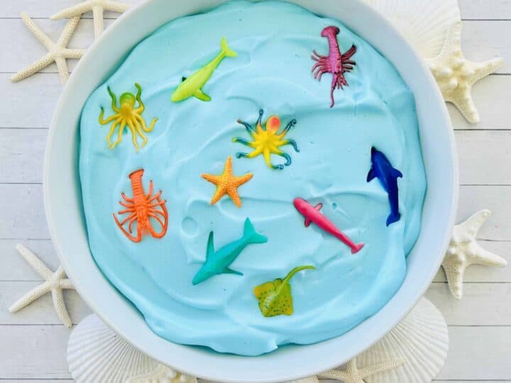 Image for Chickpea Foam Ocean Sensory Bowl