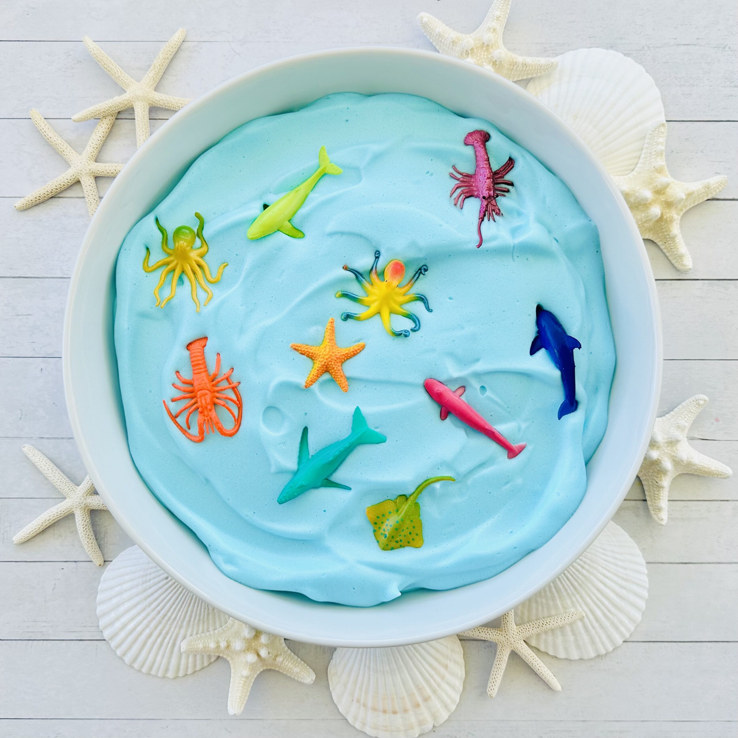 Image for Chickpea Foam Ocean Sensory Bowl