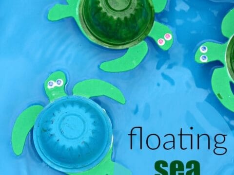 Image for Floating Sea Turtle Water Play Craft