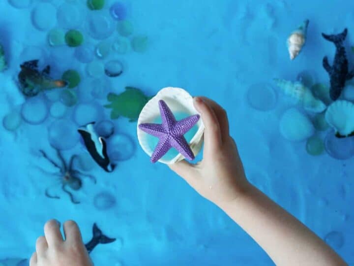 Image for Ocean Small World Water Play