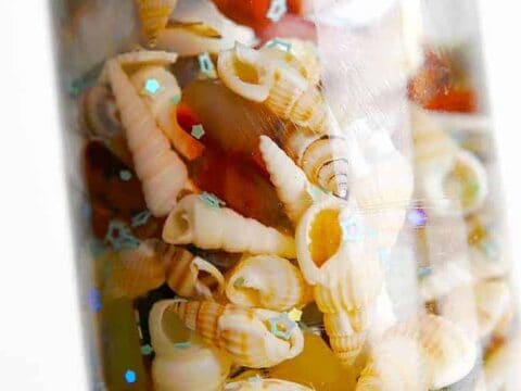 Image for Seashell Collection Bottle