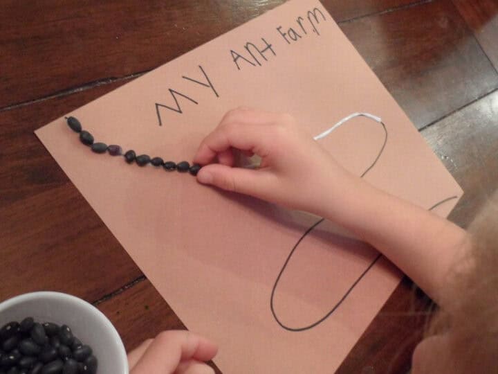 Image for Ant Farm Craft