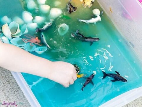 Image for Ocean Sand and Water Sensory Bin