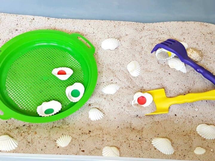Image for Seashell Scoop and Sift Sensory Bin