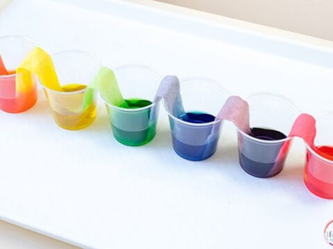 Image for Rainbow Walking Water Science Experiment for Kids