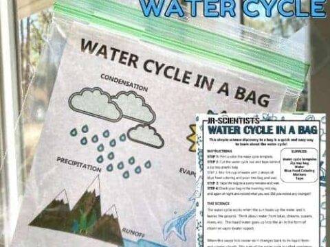 Image for Water Cycle In A Bag