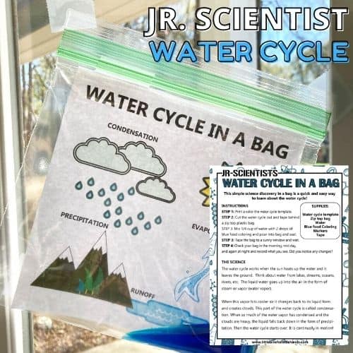 Image for Water Cycle In A Bag