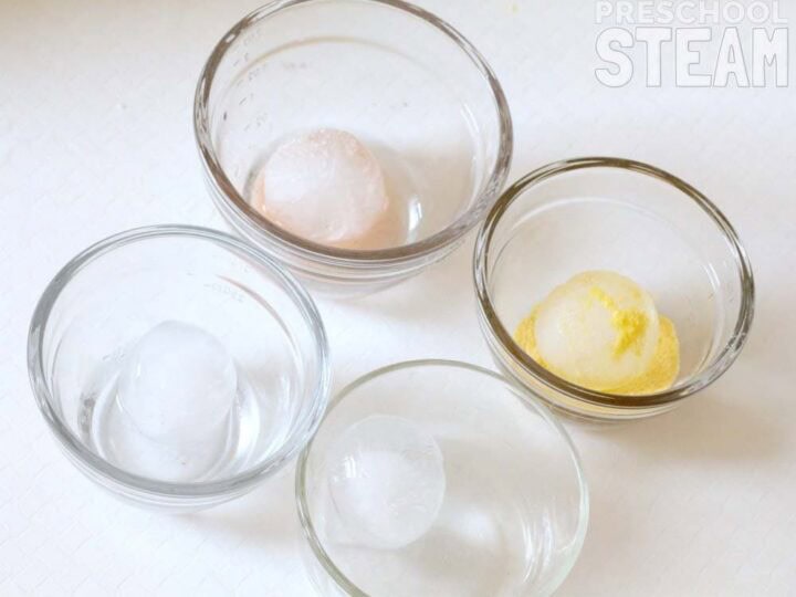 Image for Ice Science Activity